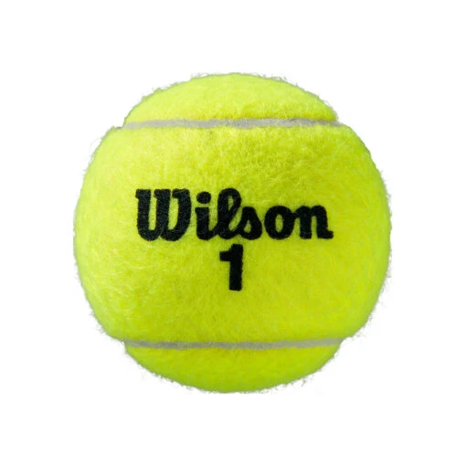 Wilson Roland Garros All Court Tube De 4 -Wilson Soldes 0162500000 0 3